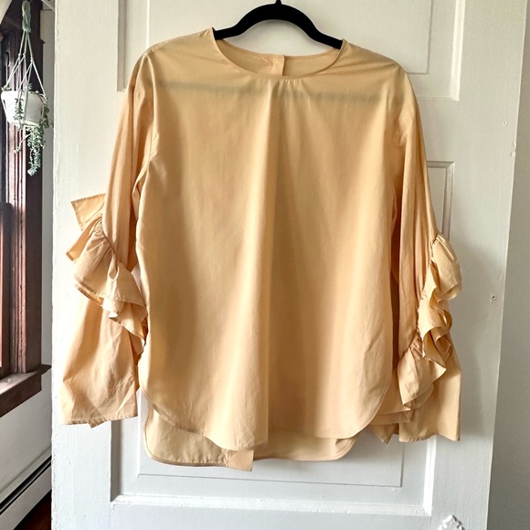 COS blouse with ruffled sleeves/ Sz small - Picture 3 of 8